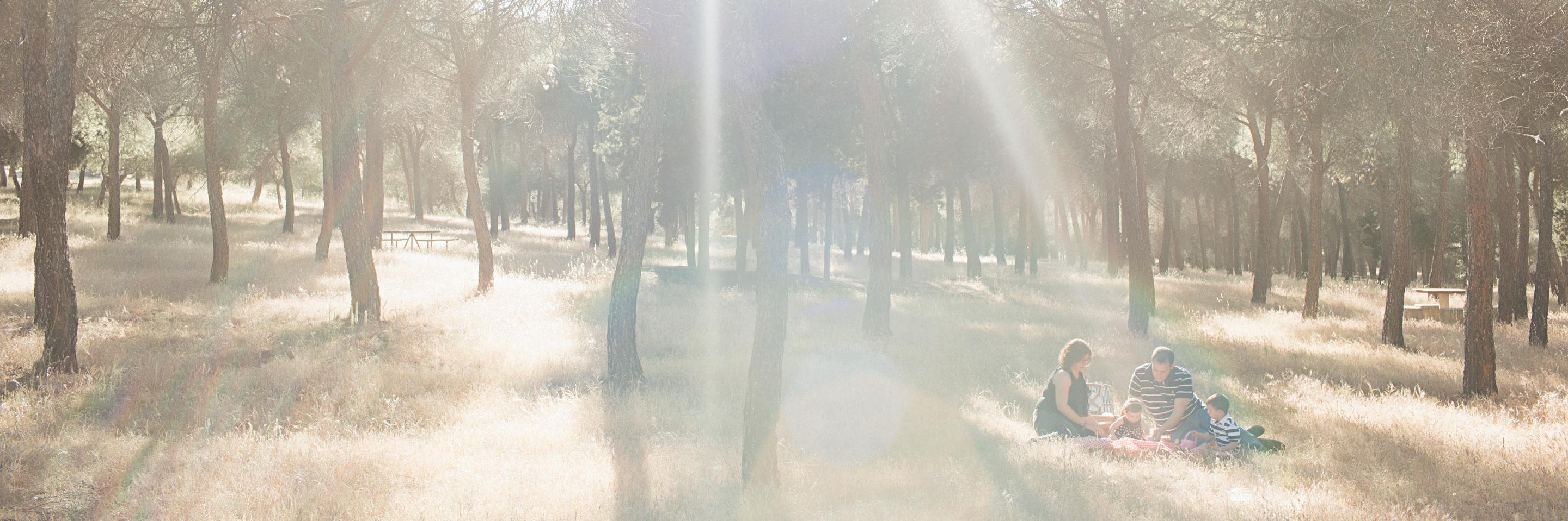 Iri_M's profile banner image