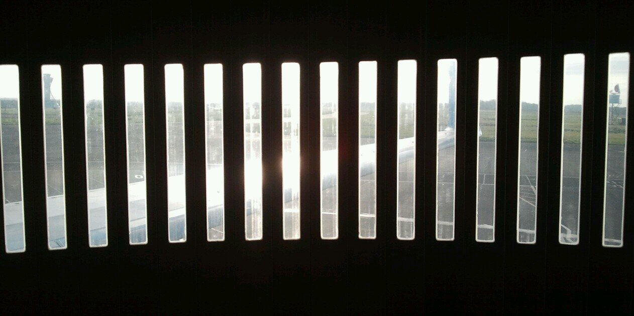 bongo_mullet's profile banner image