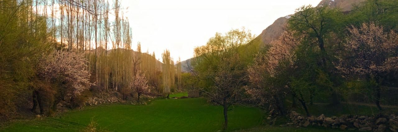 Imran Khan 🇵🇰 banner