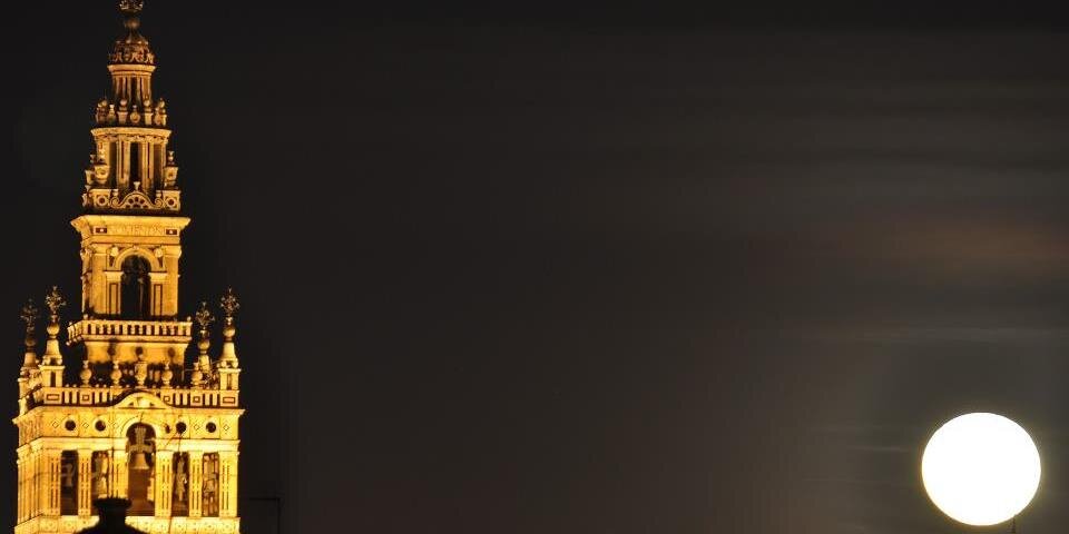 nonocost's profile banner image
