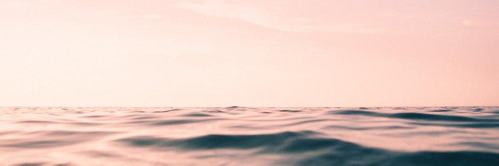 araticise.eth banner