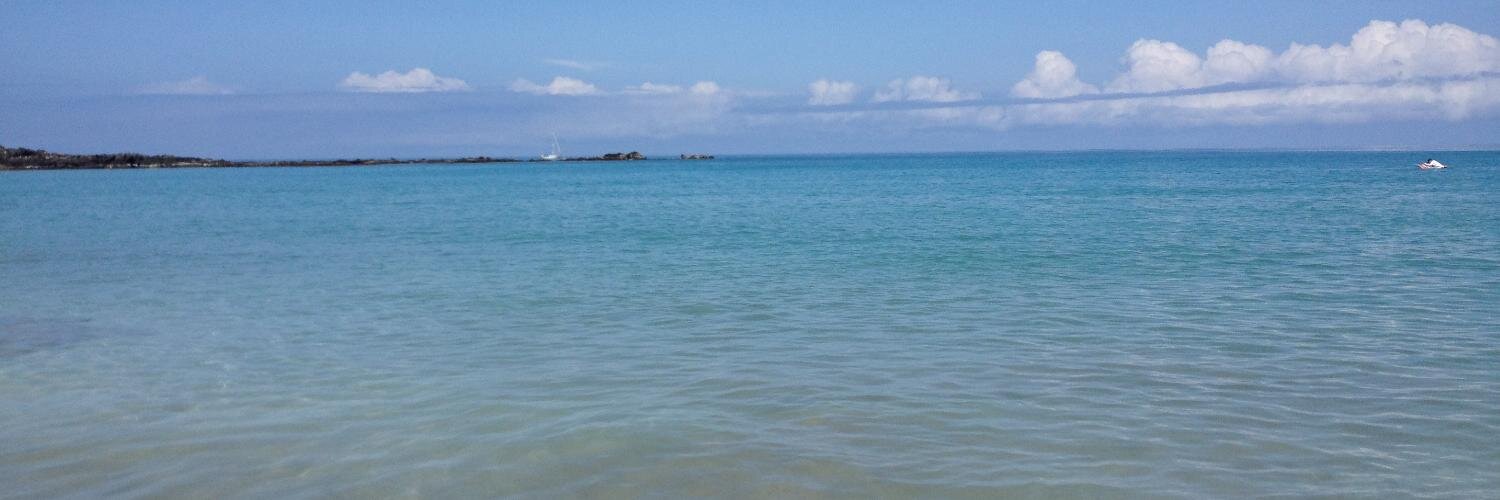 romarapture's profile banner image