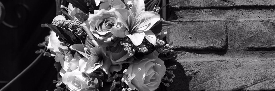 rdoti's profile banner image