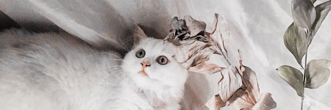 mgptrb's profile banner image