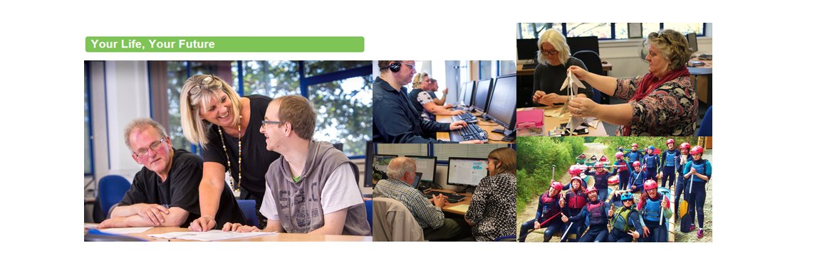 The Learning Curve banner