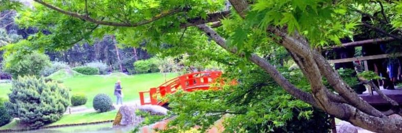 Olivier Mainfroy banner