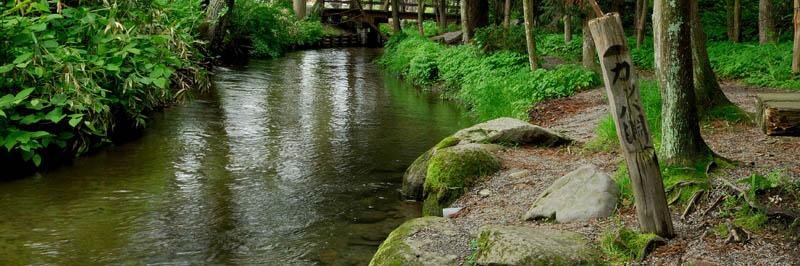 サンチュー banner