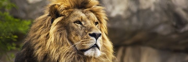 perragy's profile banner image
