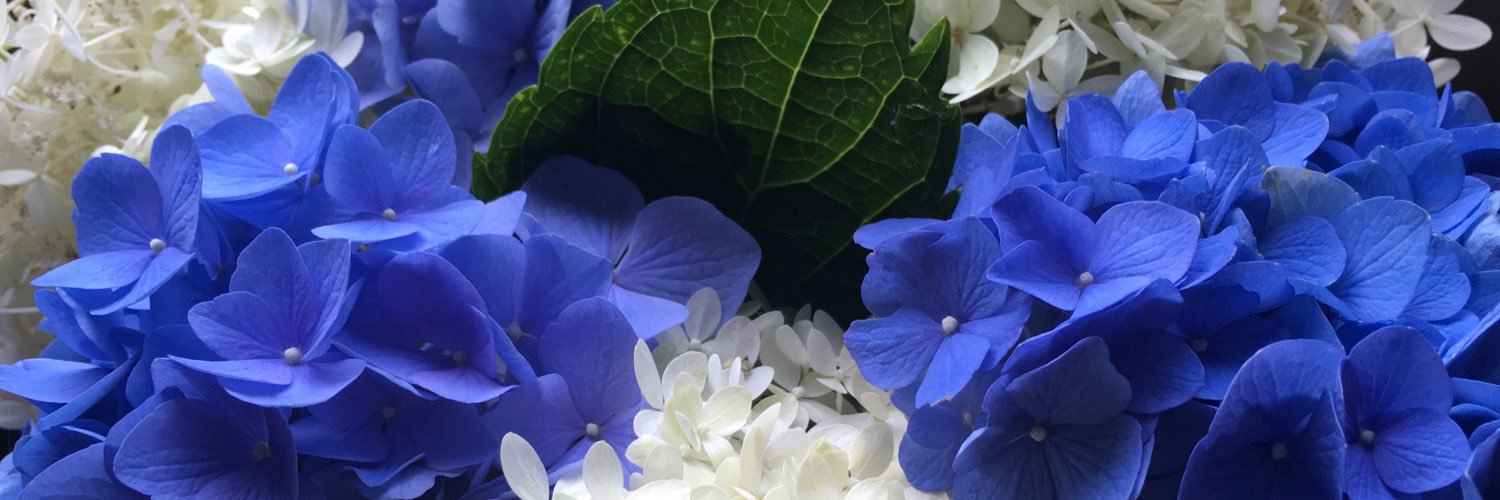 HartfordJD's profile banner image