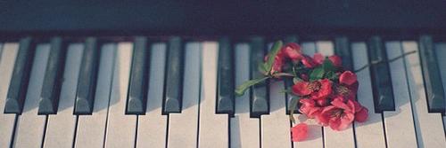 Adrienne077's profile banner image