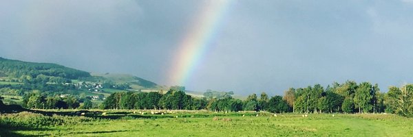 lazy_grace Profile Banner