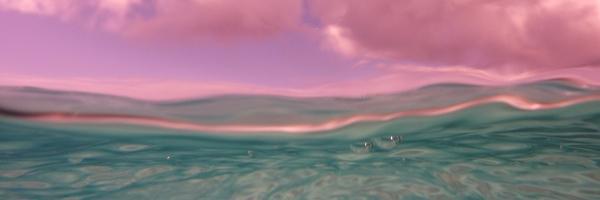 madsullivan's profile banner image