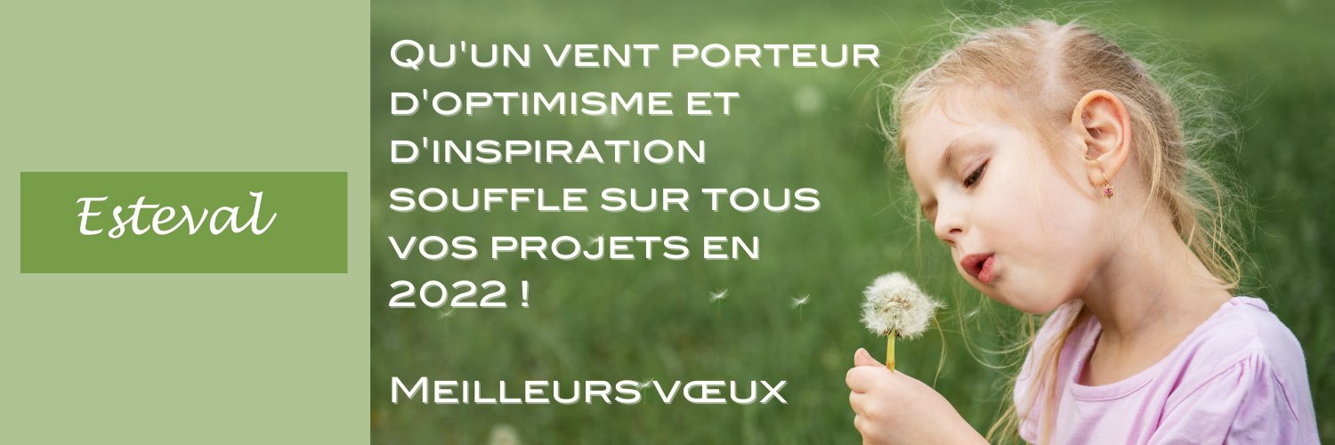 Thierry Bisaga banner