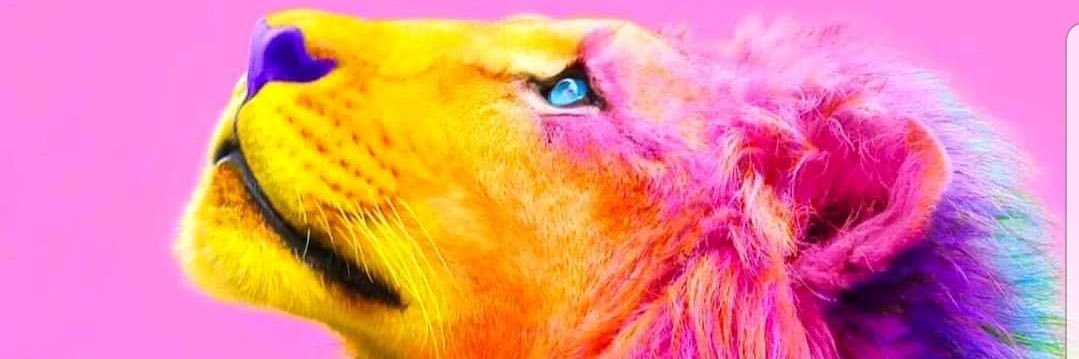 likkleandkute's profile banner image