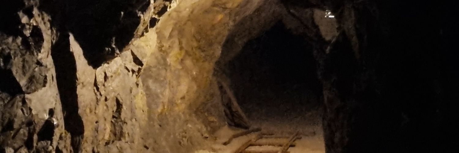 Leonardo 🔴⚫ banner