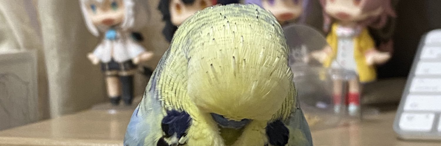 hounori's profile banner image