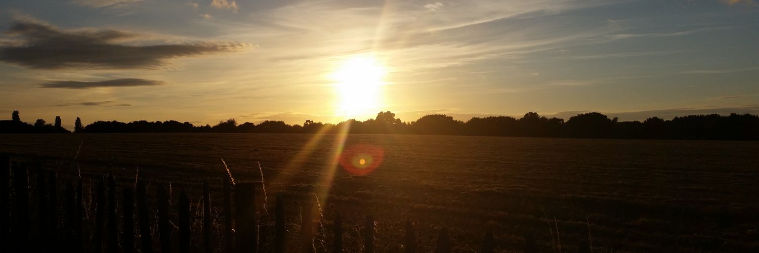 titchywheelybin's profile banner image