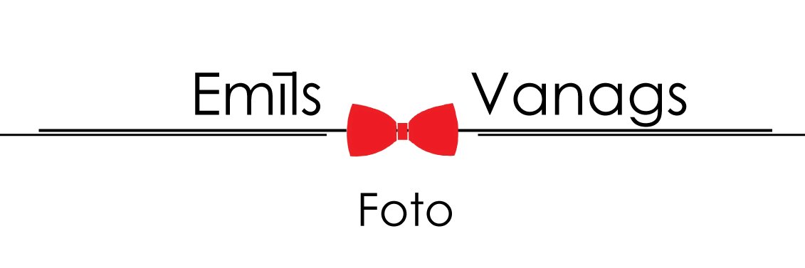 emilsvanagscom's profile banner image