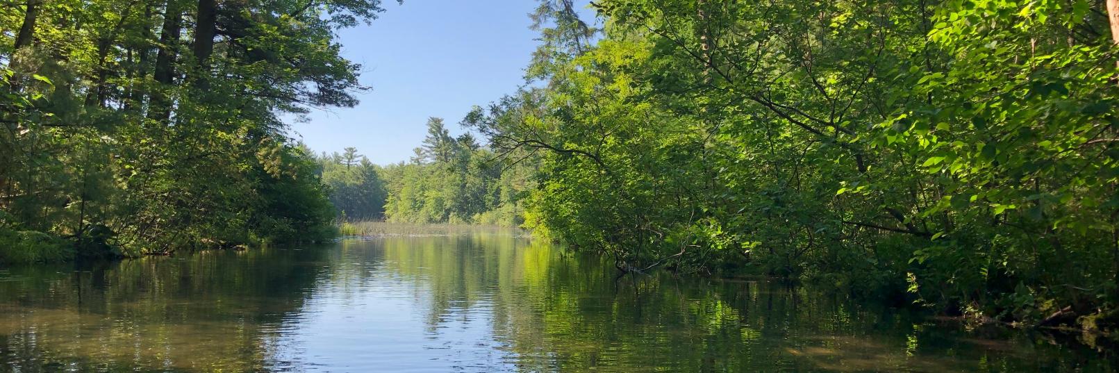 Matt Anderson banner