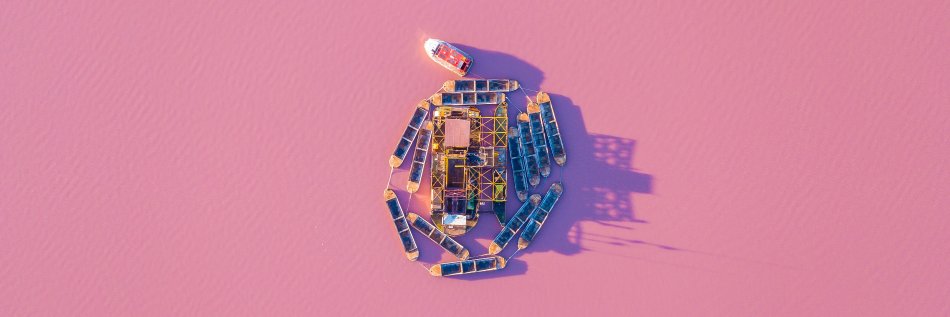 Elisabet Roselló @lisrosello@mastodon.social banner