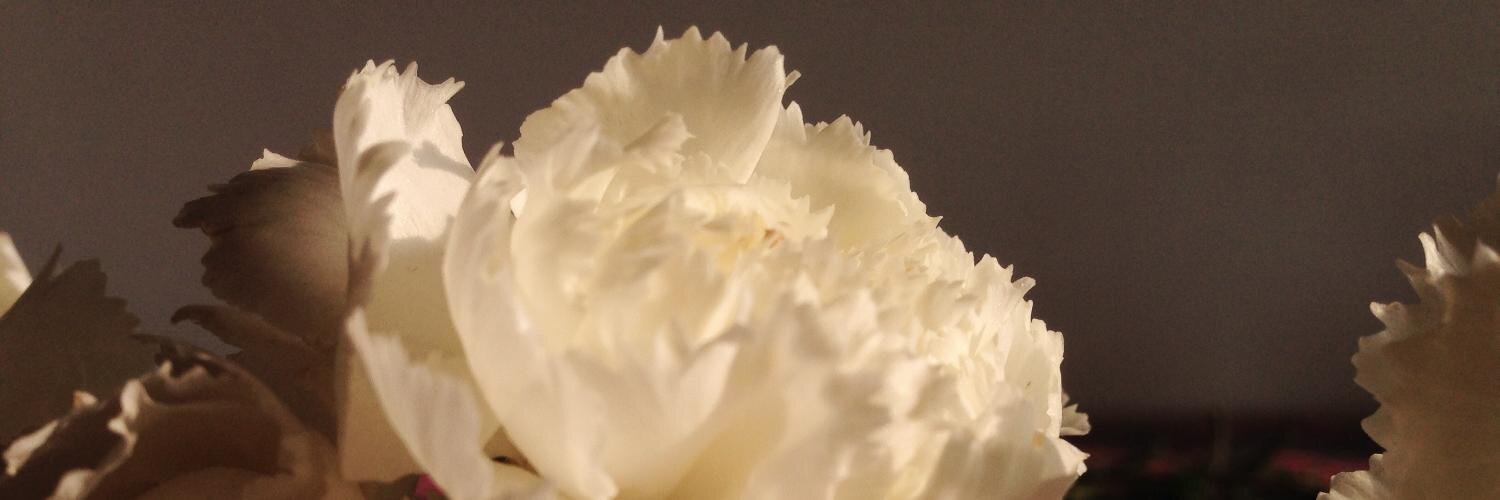 mycreative_'s profile banner image