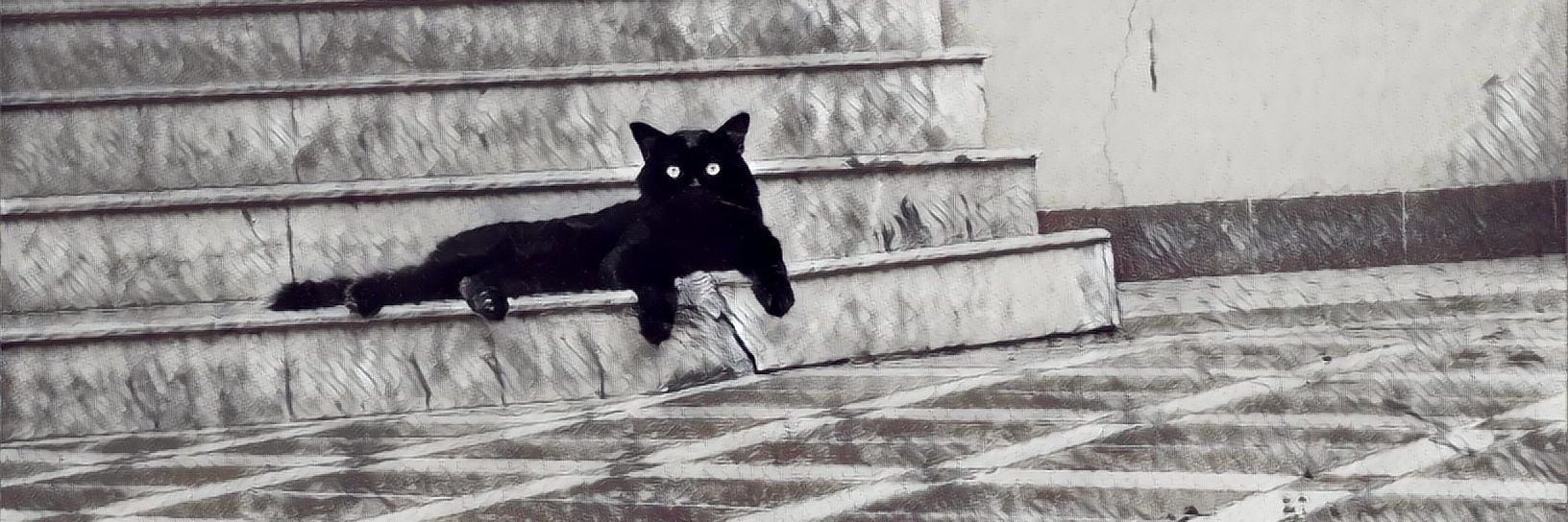 myloblackcat's profile banner image