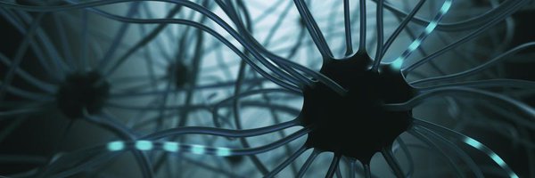 shamitb Profile Banner
