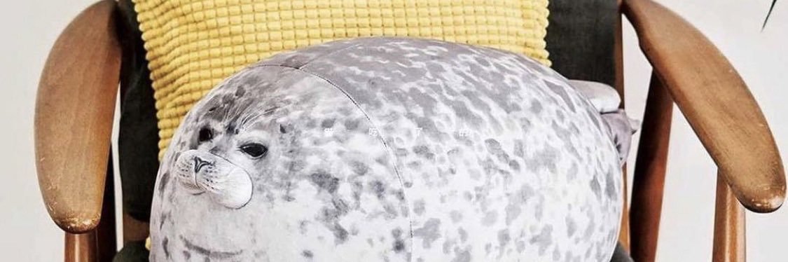 Gary McGoals banner