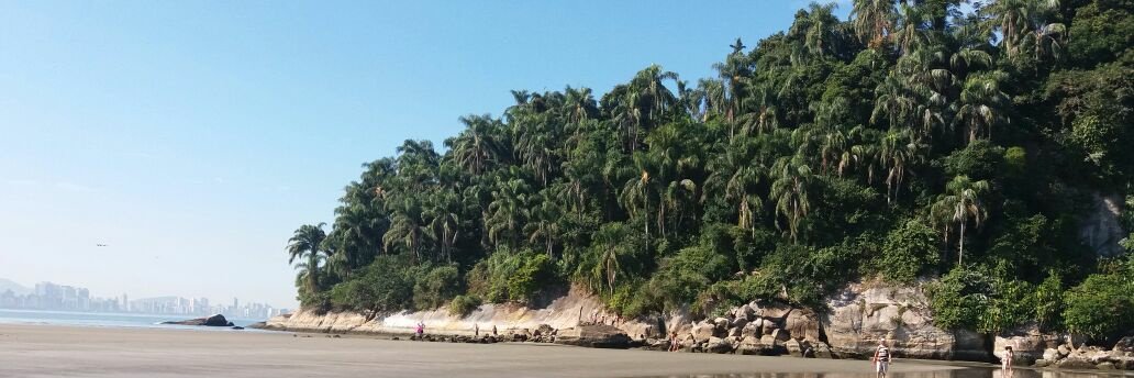 Renan Pinheiro 🇨🇴 🐋 banner