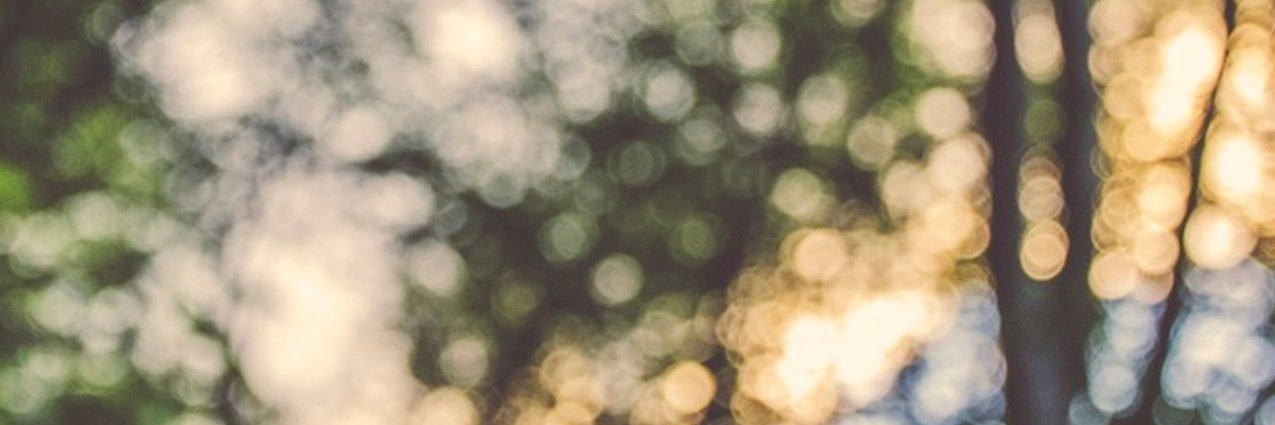 mpetersell's profile banner image