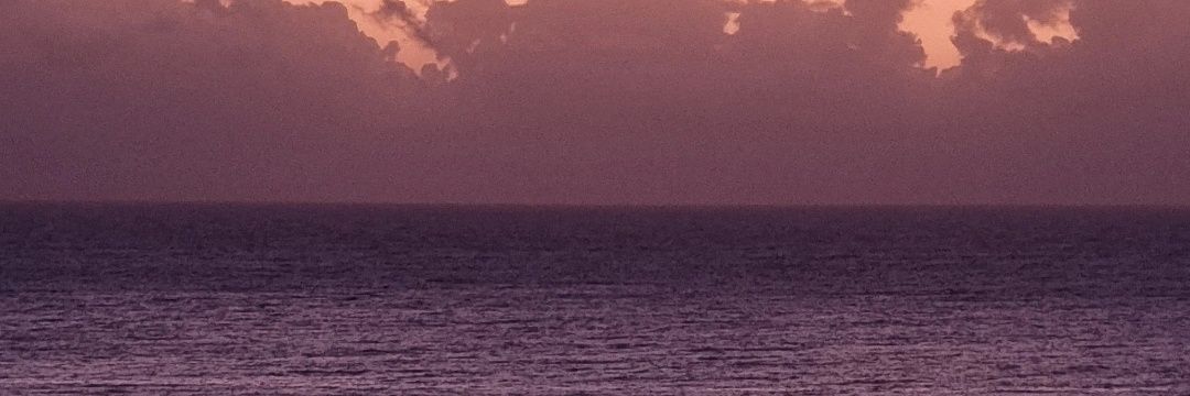 franchupardo_'s profile banner image