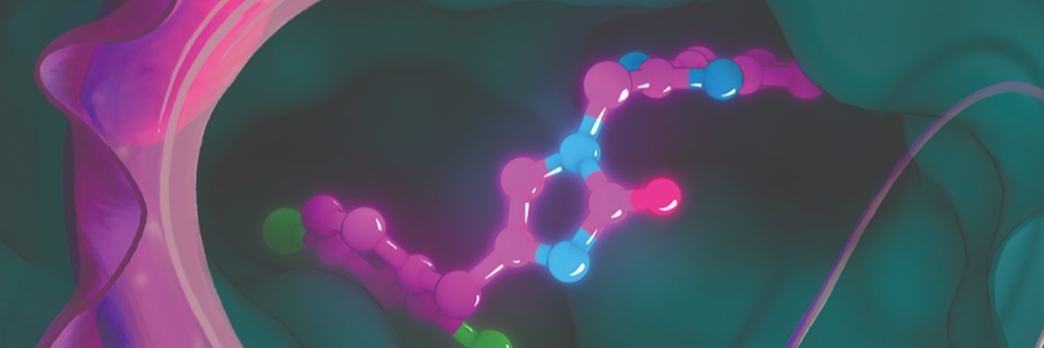 rsc_medchem's profile banner image