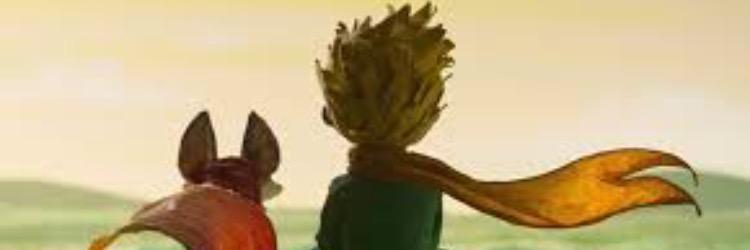 marceloup's profile banner image