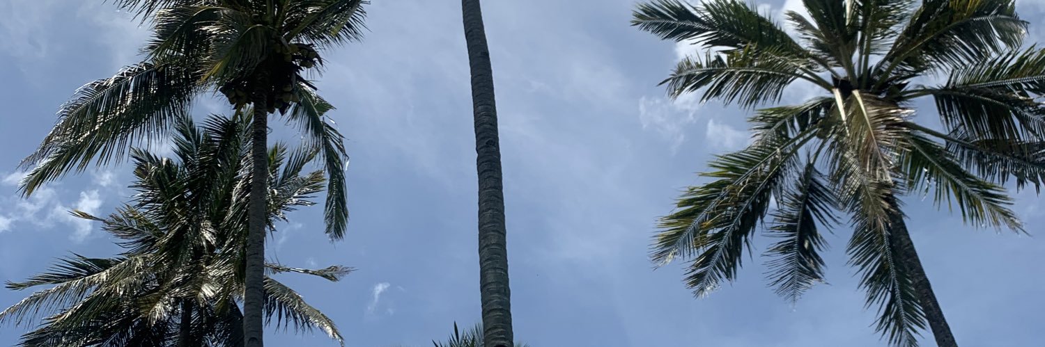 irenkrtk's profile banner image