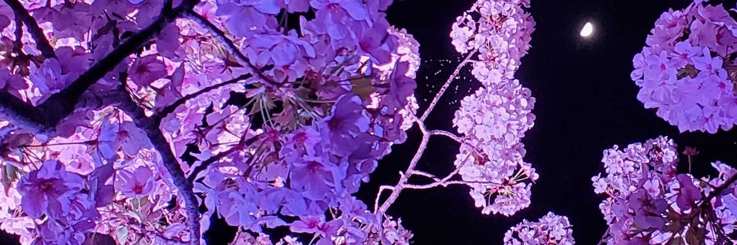 mina_Alcohol's profile banner image