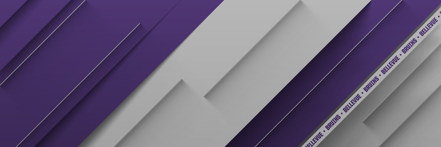 Bellevue Bruins banner