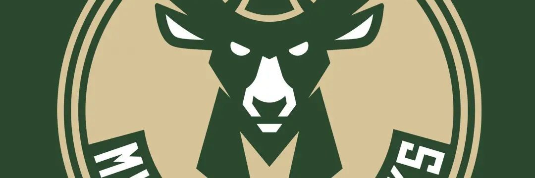 N8 Schultz banner