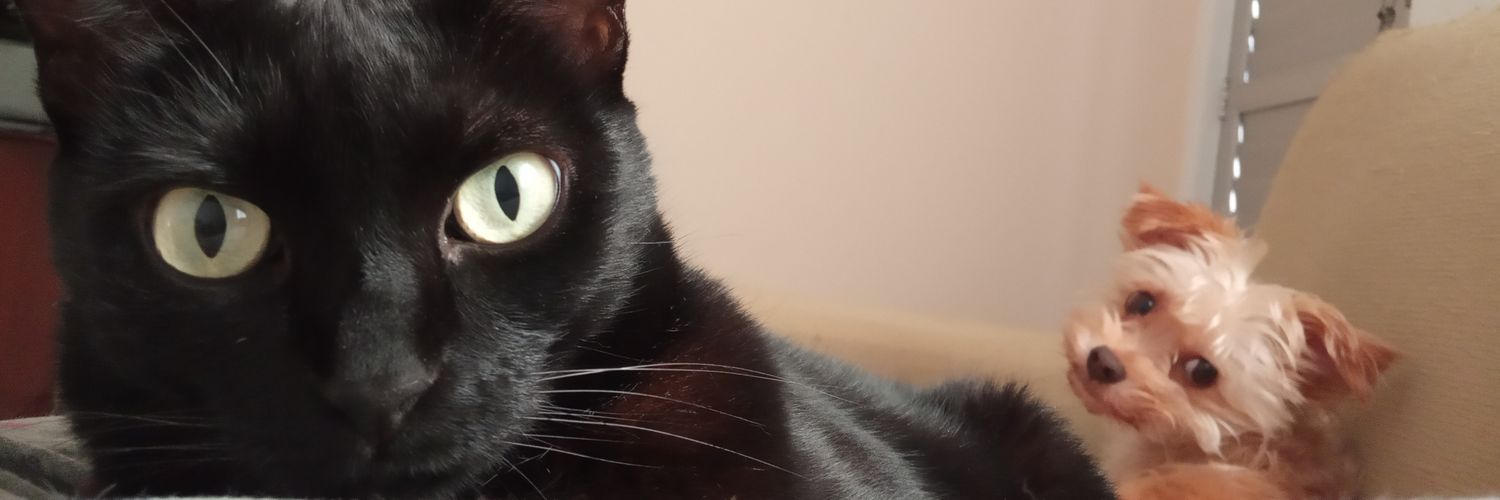 nancy_ducca's profile banner image