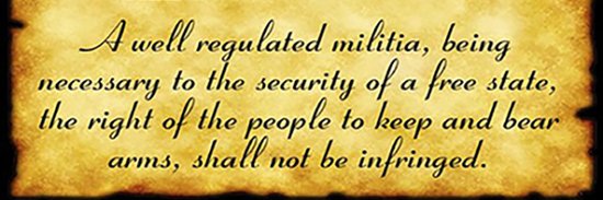 Southern Swamp Fox banner