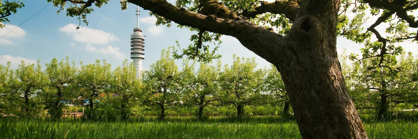 Provincie Utrecht banner