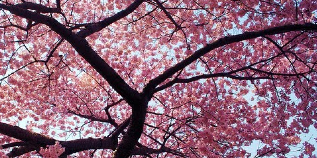J4M1L4H's profile banner image