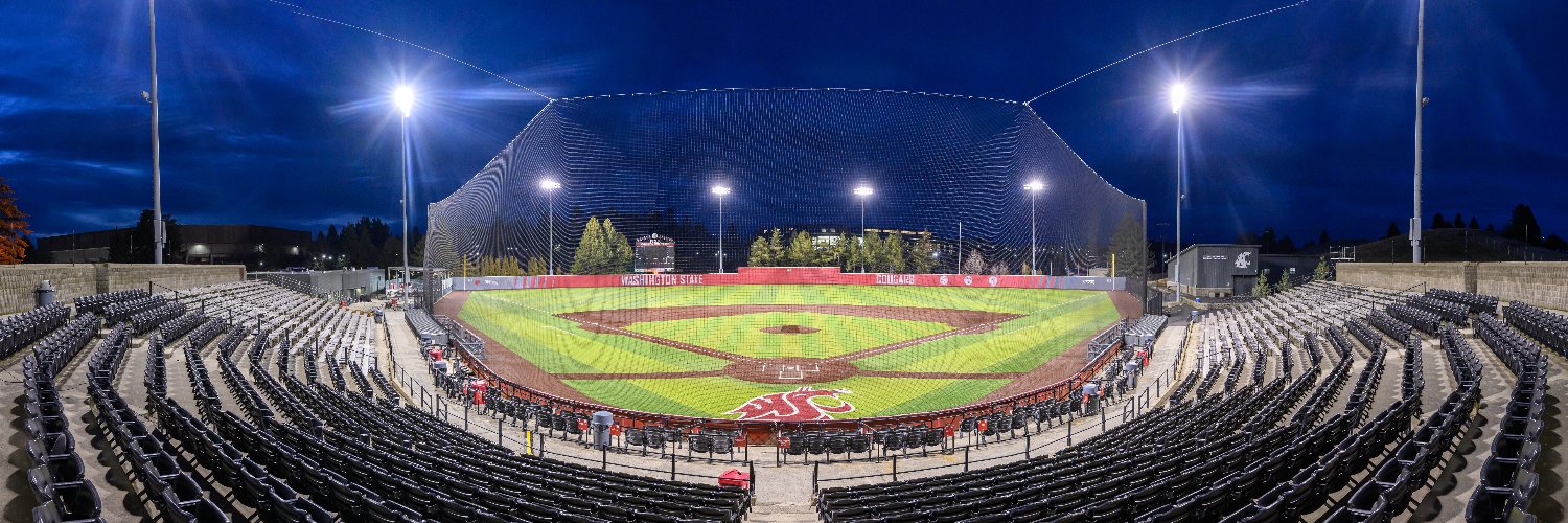 Washington State Baseball's banner