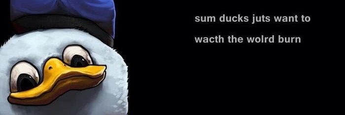 𝓨𝓸.𝓷𝓸𝓸𝓽𝓼 banner