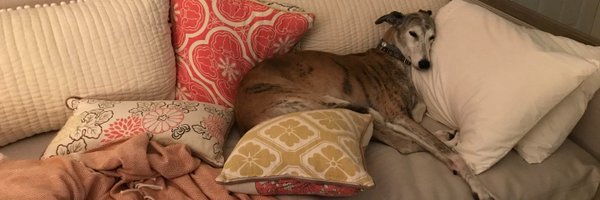 cg_social Profile Banner