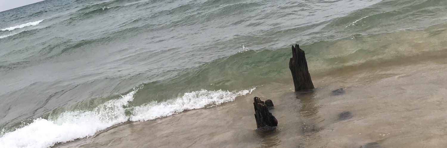 DanceLuvLaugh's profile banner image