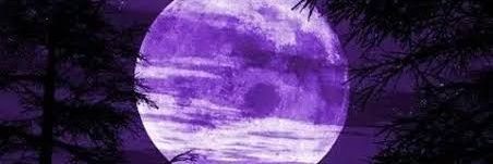 GeminiAna's banner