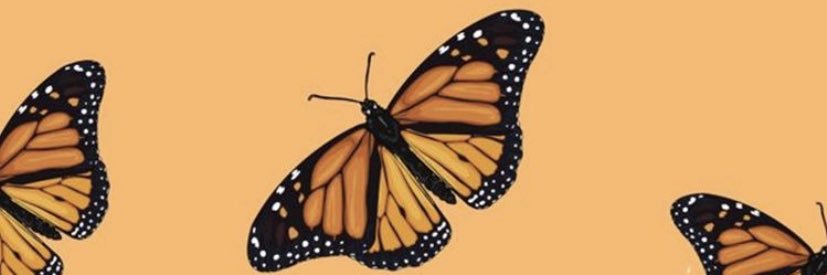 geisamoras's profile banner image