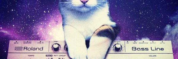 wallabywallop Profile Banner