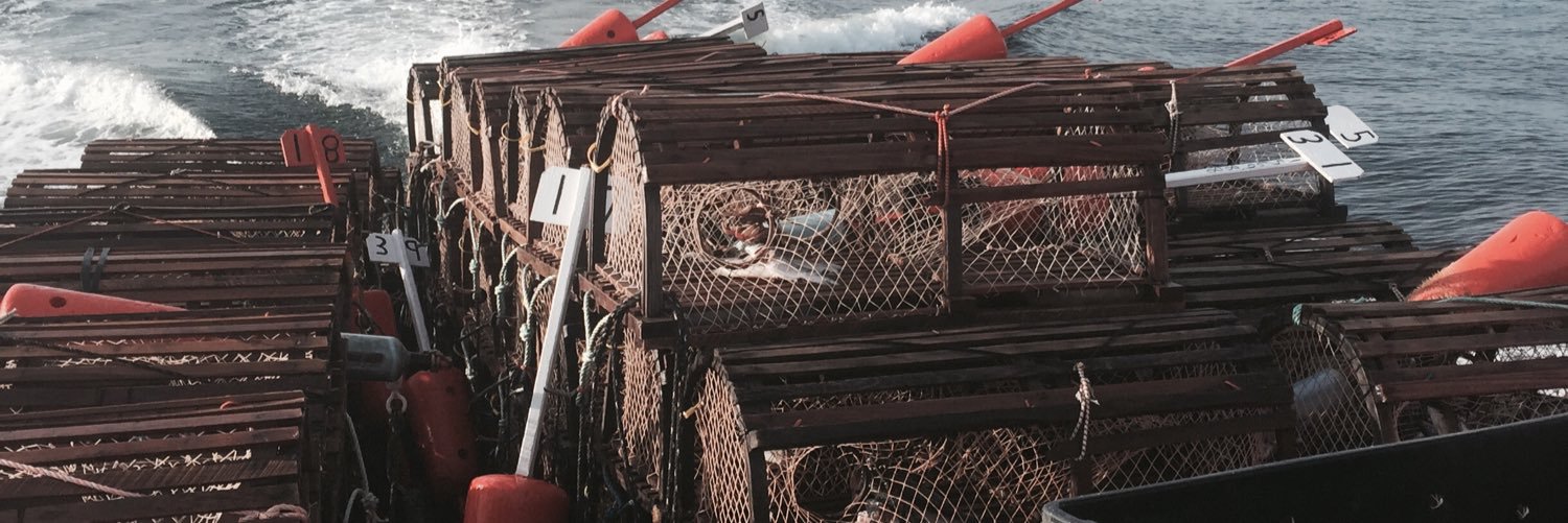 hackett31's profile banner image