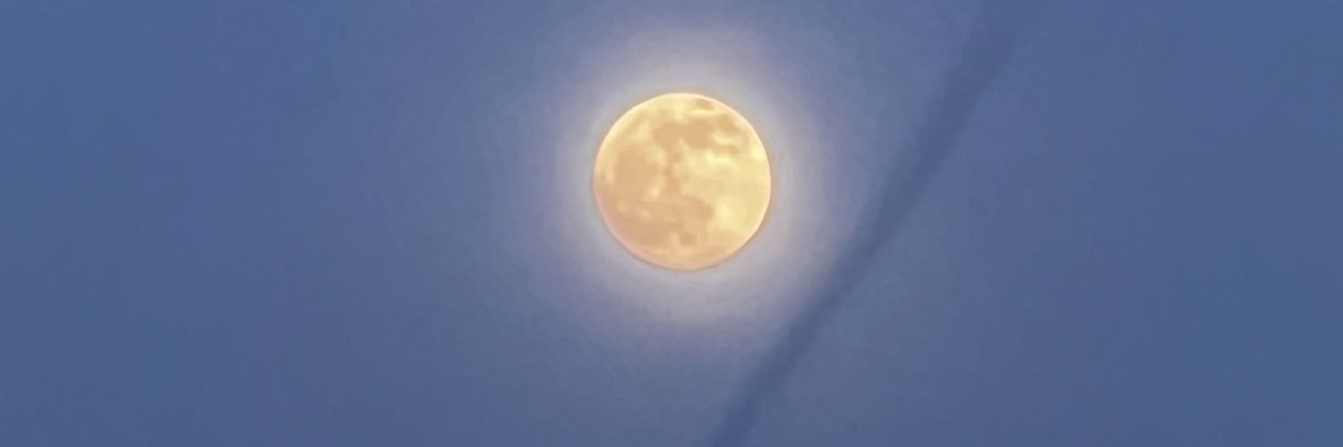 arslanbaha's profile banner image